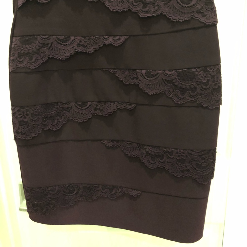 Lace Accented Dress in Eggplant